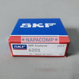 bac dan skf 6021